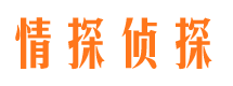 万全市私家侦探